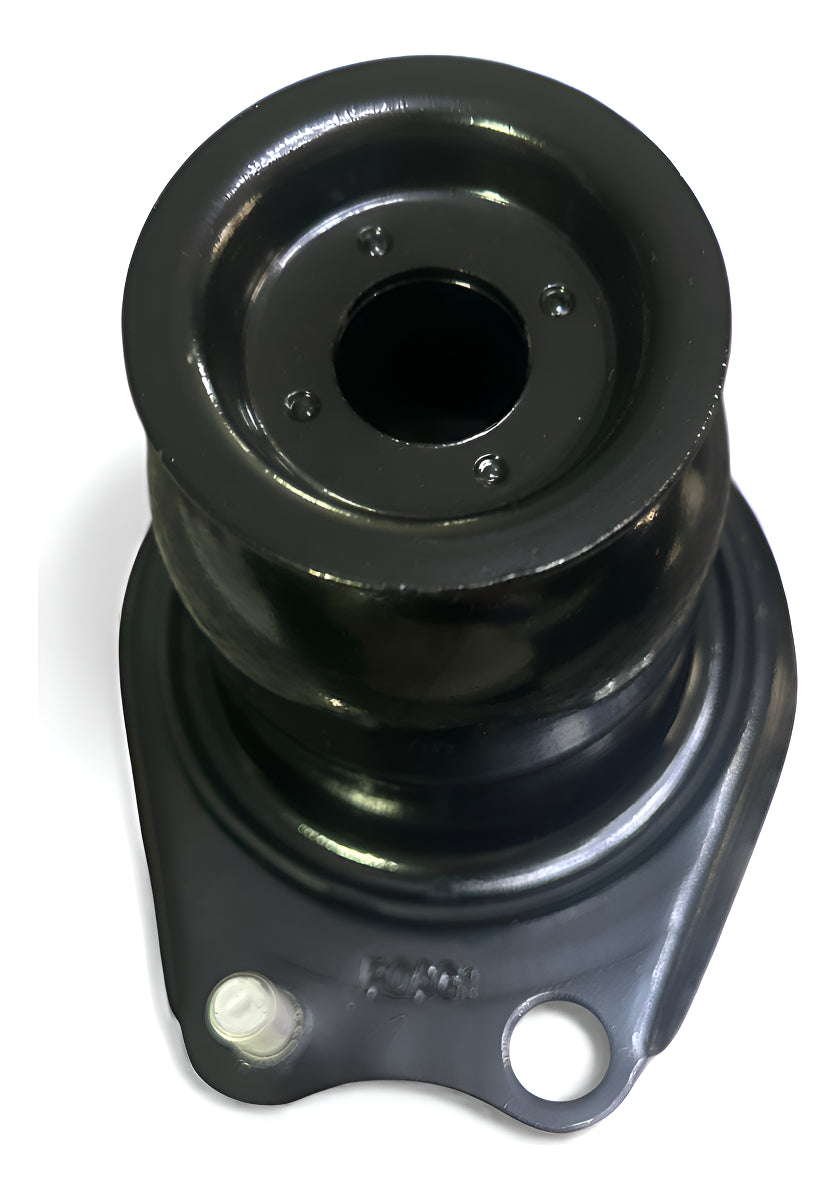 Resorte Amortiguador Trasero Derecho BYD Dolphin Mini – Original 3A-2915600