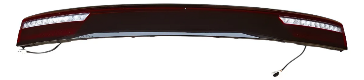 Calavera Central de Puerta Trasera BYD Dolphin Mini | EQEA-4107300