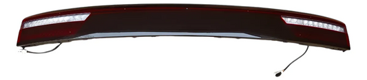 Calavera Central de Puerta Trasera BYD Dolphin Mini | EQEA-4107300