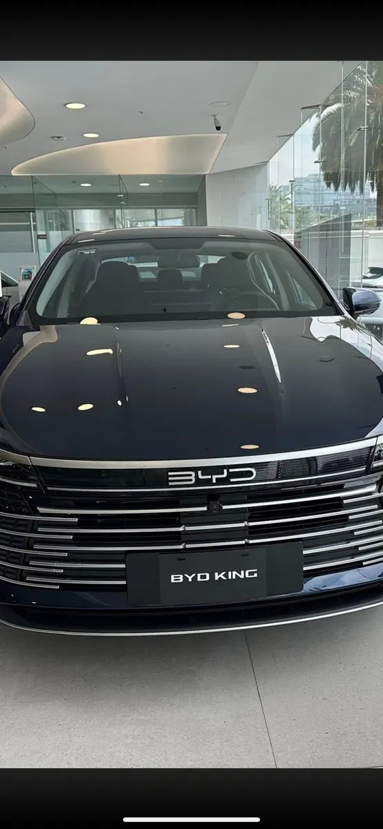 Emblema De Letras Frontal Byd .. Dolfin Mini Byd Gris