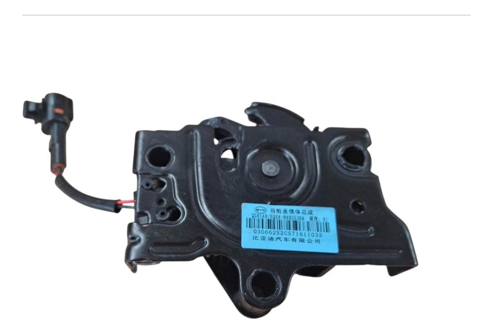 Chapa de Cierre Delantero BYD Dolphin Mini Negro – Repuesto Original