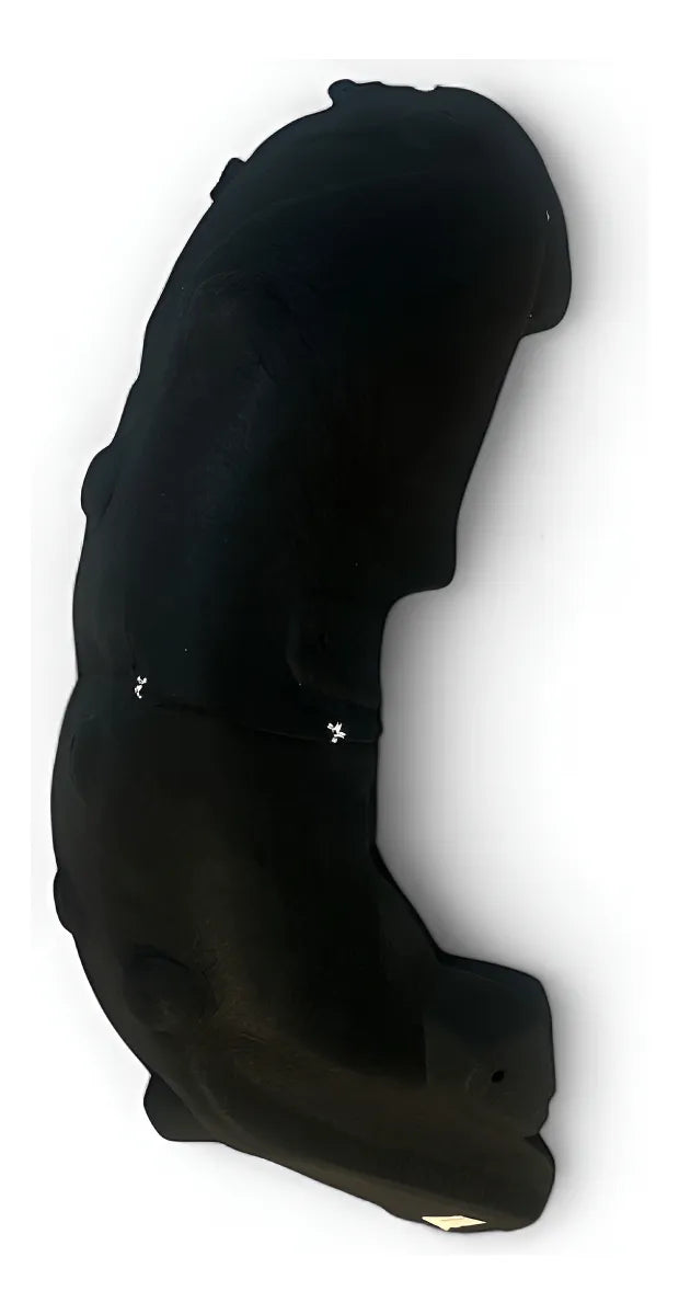 Guardabarros Trasera Derecha Byd Dolphin Mini