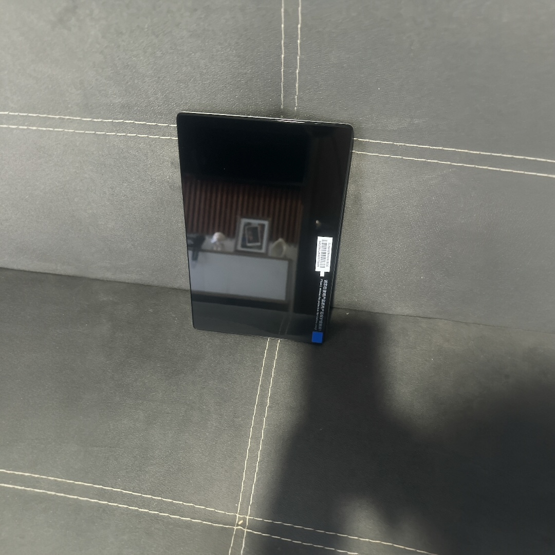 Pantalla esterio byd dolphin mini