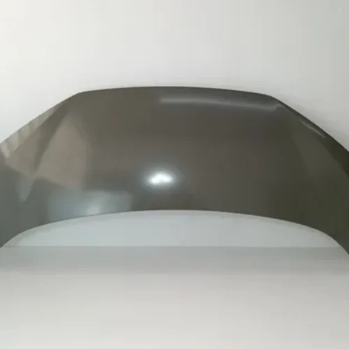 HOOD For Dolphin Mini